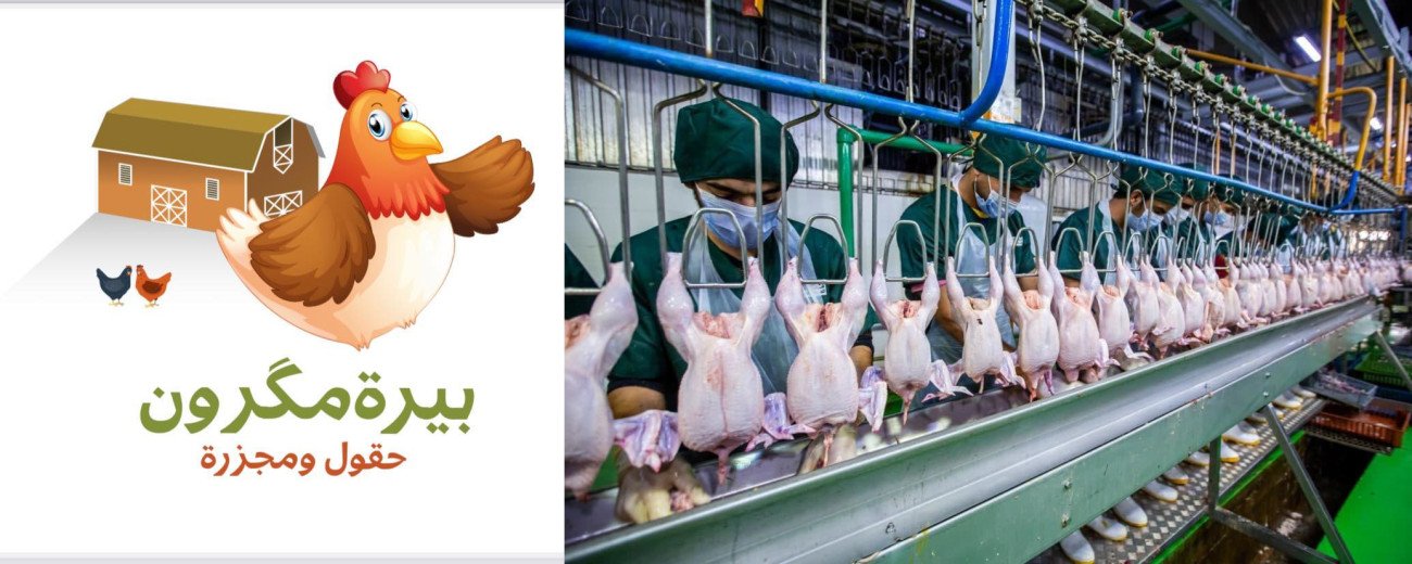 Chicken Massacre Sulemanya Piramagroon